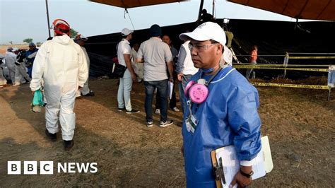 Mexico Mass Grave Exhumation Of 116 Bodies In Morelos Bbc News