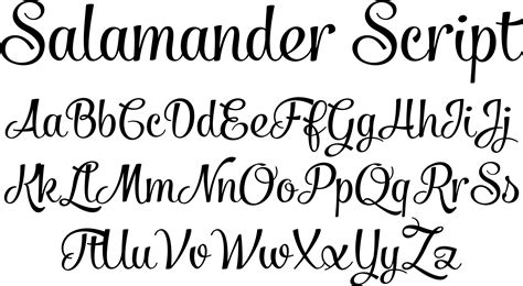 Script Fonts Salamander Script Font By Fenotype Font Bros Drawing