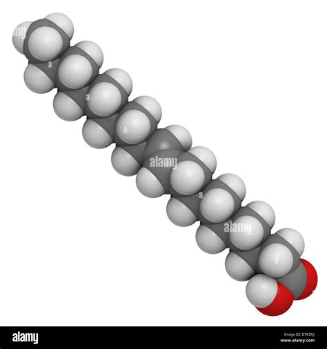 Elaidic Acid Trans Fatty Acid Molecular Model Stock Photo Alamy