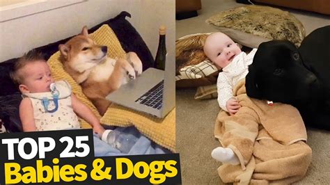 Dogs And Babies Are Best Friends Dogs Babysitting Babies Youtube