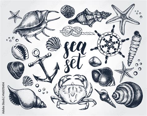 ink hand drawn set of marine and nautical elements sea collection template for cards banners