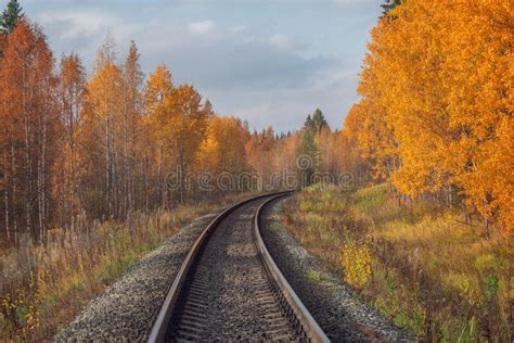 Long Railway Line At Autumn Day Stock Image Image Of Track Rail