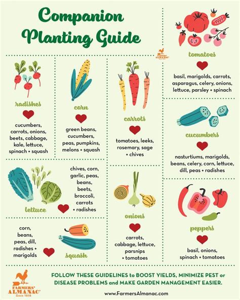 Companion Planting Guide Sow Easy In 2021 Companion Planting Guide