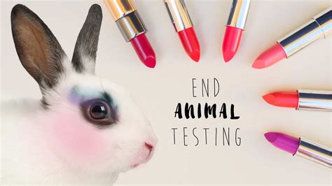 The Humane Cosmetics Act And How You Can Help End Animal Testing