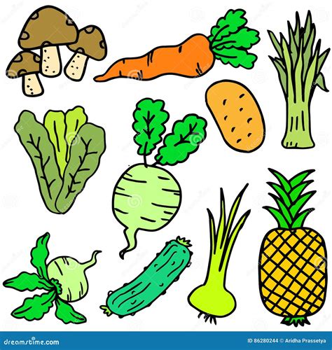 Doodle Of Vegetable Various Colorful Stock Vector Illustration Of Ingredient Mint 86280244