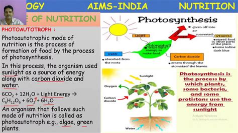 Aims Today Live Stream 4th June 2020 7th Class Biology 6 Pm To 6
