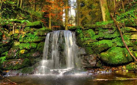 Waterfall Woods Rocks Landscape Moss Stream Nature