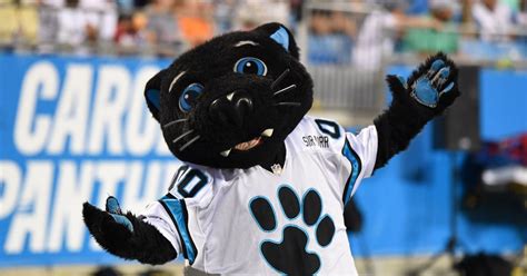 Panthers Sir Purr Named Nfl Mascot Of The Year
