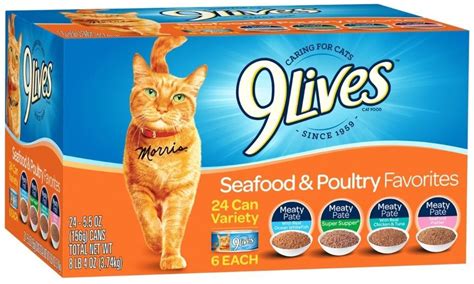 The Best Wet Cat Food Of 2020 — Reviewthis