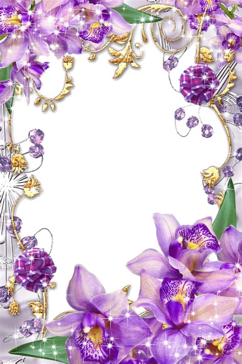 Download Purple Border Frame Png Transparent Image Free