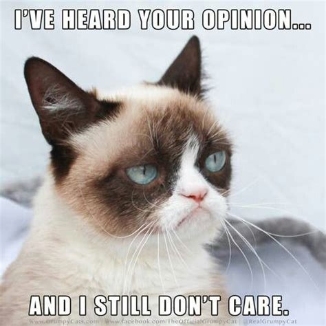 701 Best Life Is Good Not Tard The Grumpy Cat Images