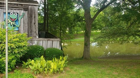 Birthplace Of Kermit The Frog Leland Mississippi Atlas Obscura