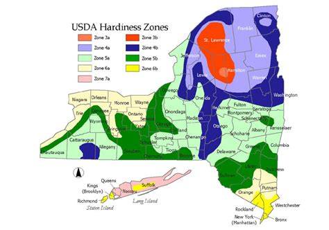 Hardiness Zones For New York State
