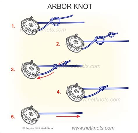 Arbor Knot How To Tie An Arbor Knot Fishing Knots
