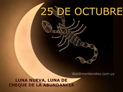 Luna Nueva Luna De Cheque De La Abundancia Sintonia De Alma A Alma