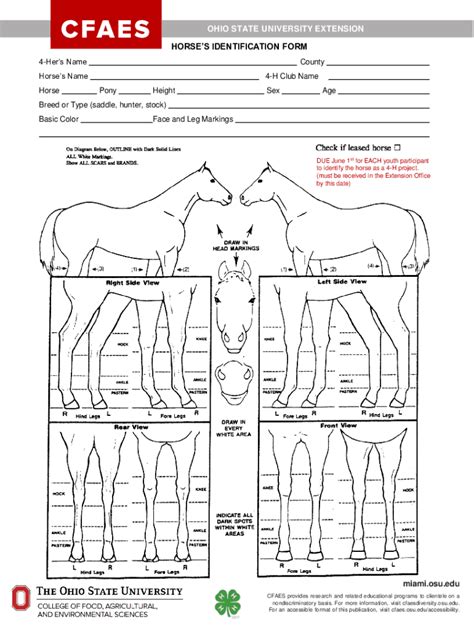 Horse Identification Chart Fill Out And Sign Online Dochub