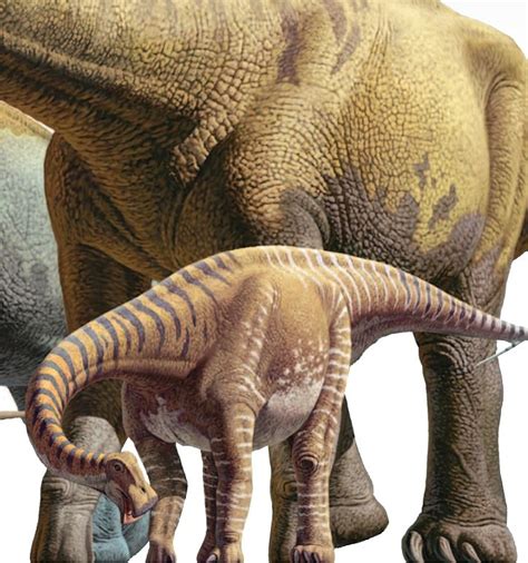 Sauropod Body Size Evolution — Michael D Demic Phd