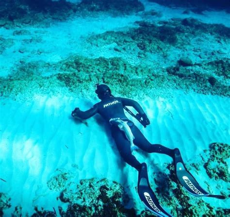Pathos In 2022 Spearfishing Diving Free Diving