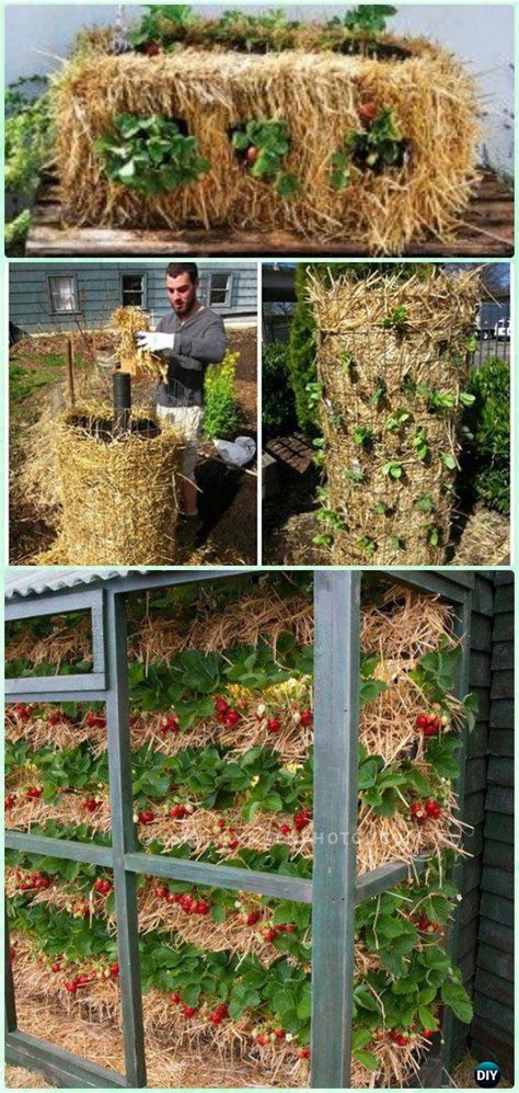10 Space Saving Strawberry Garden Gardening Planter Ideas