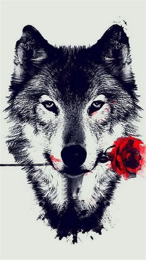 Rose Wolf Wallpapers Wolf Wallpapers Pro