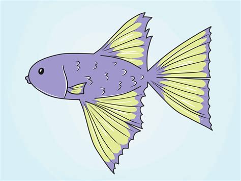 How To Draw A Betta Fish 10 Steps With Pictures Wikihow