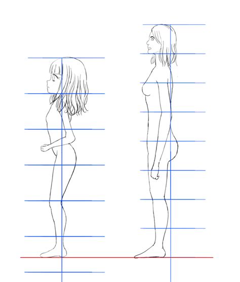 Realistic Anime Proportions Sweet Drawing Blog