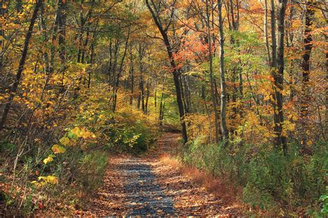 Lake Nantahala And The Appalachian Trail