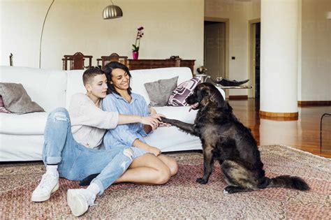 Lesbian Couple Shaking Hands With Dog While Sitting In Living Room