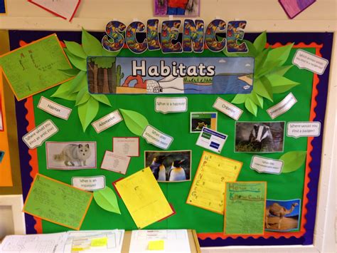 Creative Teaching Displays Science Displays Life Cycles And Habitats