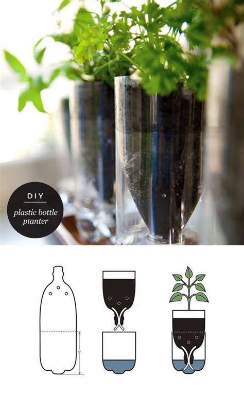 Maiko Nagao Diy Upcycled Plastic Bottle Herb Planter