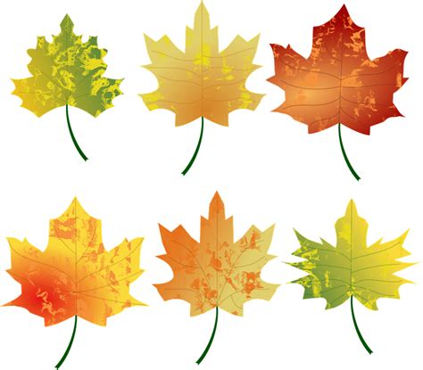 Grafică vectorială gratuită: Toamna, Culori, Frunze, Natura - Imagine gratuită pe Pixabay - 2027870