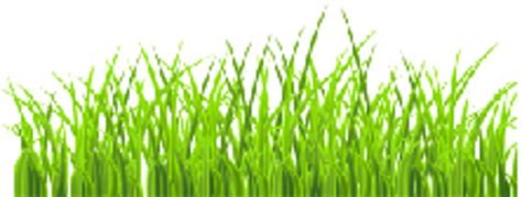 Please go to and apply now to apply for free! Service Directory - Lawn Services - Classified Ads - Canon ...