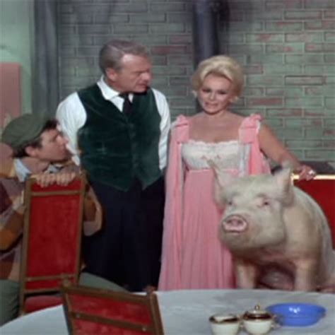 Arnold The Pig Was The True Star Of Green Acres Geeks