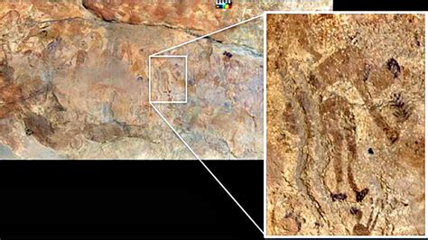 Los Humanos Del Neolítico Inventaron La Cocina Hace Más De 10000 Años