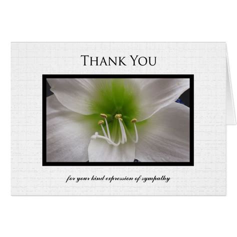 Thank you note to the pastor for funeral service examples. Sympathy Thank You Note Card - White Amaryllis | Zazzle