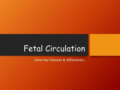 Ppt Fetal Circulation Powerpoint Presentation Free Download Id8975236