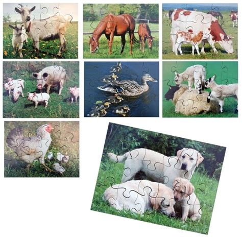 Farm Animals And Their Young Jigsaws Science From Early Years