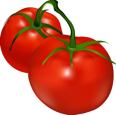 Download Tomatoes Transparent Png Clip Art 164678 Pinclipart