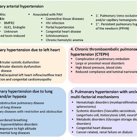 Pulmonary Hypertension Pathophysiology And Classification