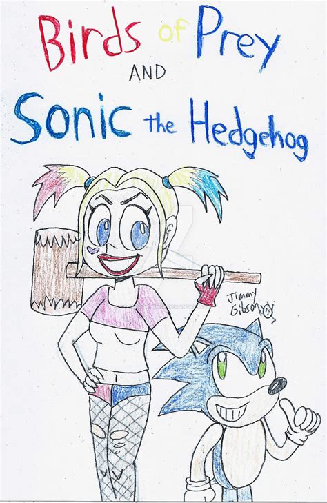 Birds Of Prey And Sonic The Hedgehog By Celmationprince On Deviantart