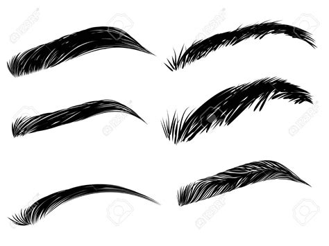 Collection Of Black Detailed Eyebrows On White Background Stock Vector