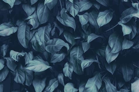 Premium Photo Tropical Leaves Abstract Green Leaves Texture Nature