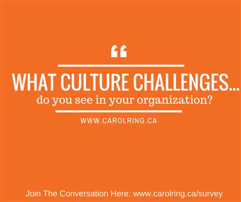 What Culture Challenges Do You See In Your Organization Carol Ring