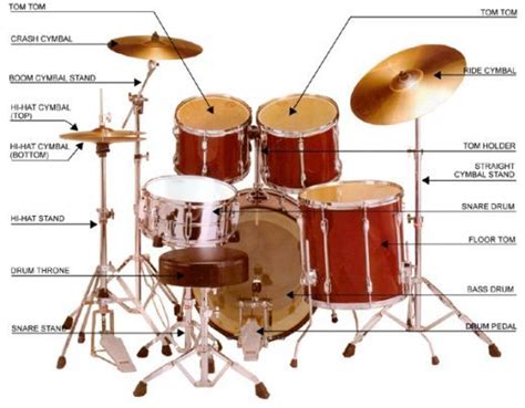 Anatomy Of A Drum