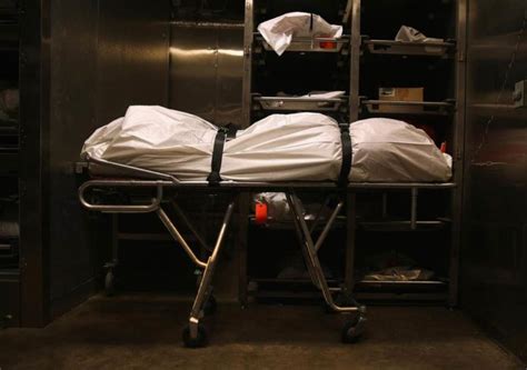 Hospital Morgue Bodies