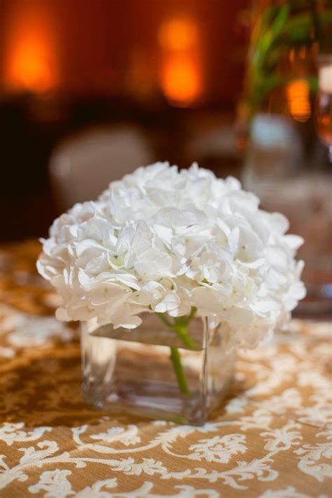 4d8d49a4 2d2f ad4a fd24 eef0bcfa5dbb~rs 729 white hydrangea centerpieces white centerpiece