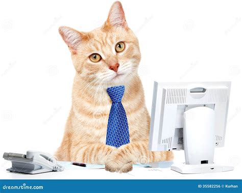 Actualizar 62 Imagen Cat Office Abzlocalmx