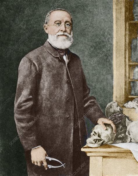 Rudolf Virchow Discovery