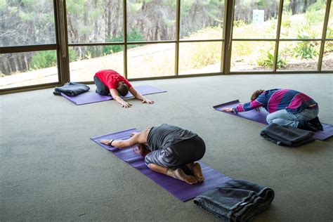 Mindful Yoga Is Back For The Semester Student Health And Wellbeing