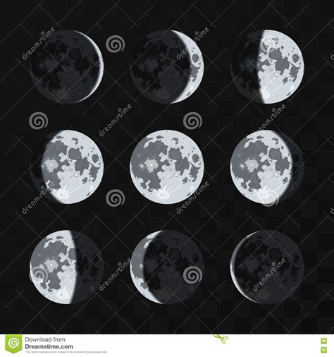 Moon Phases Vector Set Stock Vector Illustration Of Half 74163732